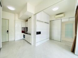 Lincoln Suites (D11), Condominium #490734521